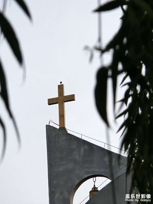 【光影里的五彩斑斓】+多彩夏日