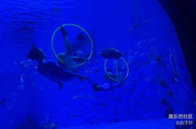【浪漫盛夏季】海洋馆