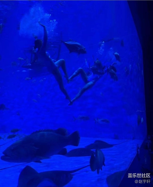 【浪漫盛夏季】海洋馆