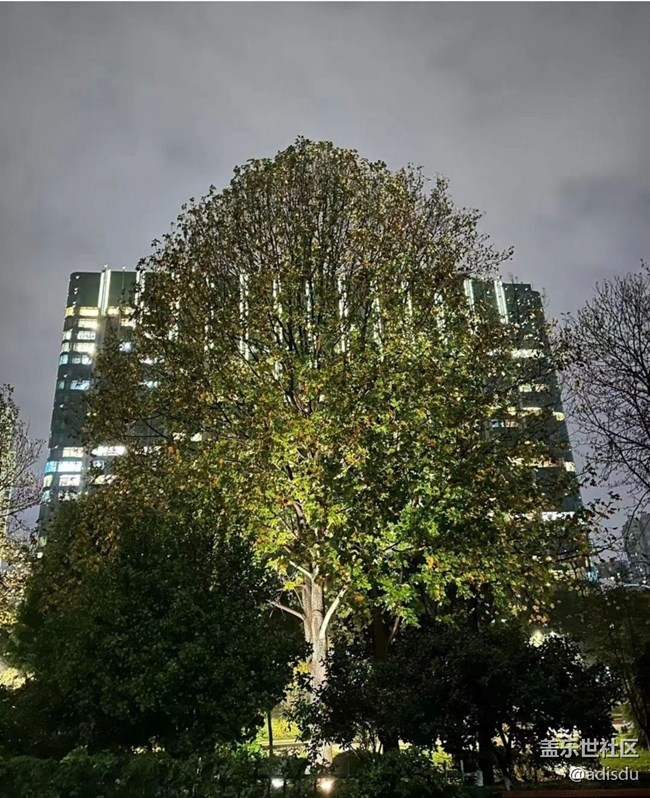 【鹏城夜景】黑夜