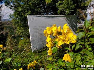 跟着电影去玩