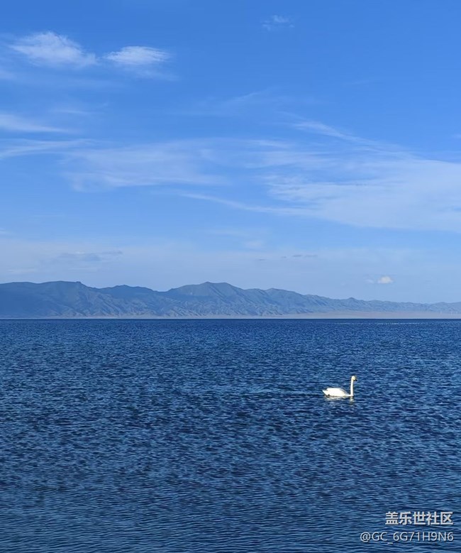 【浪漫盛夏季】赛里木湖