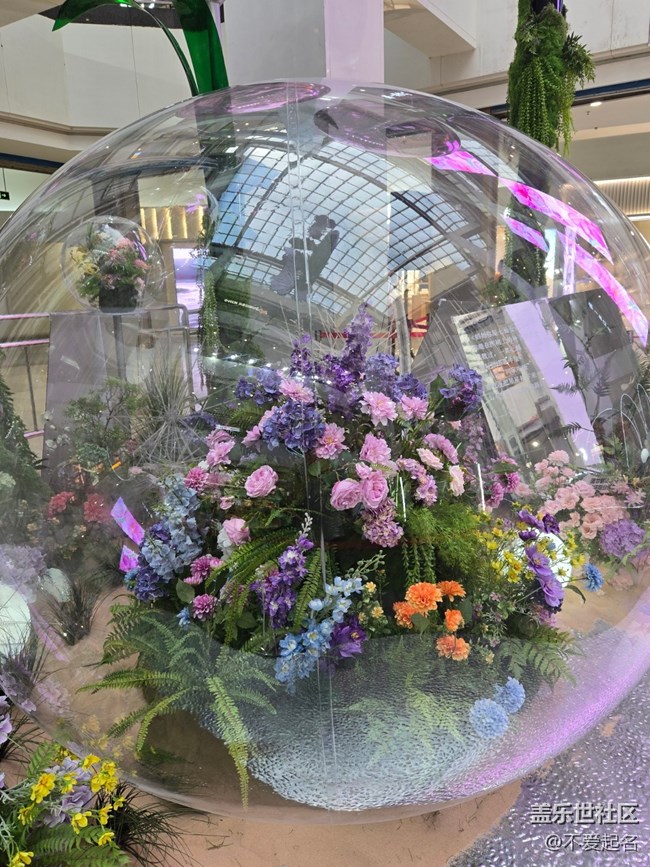 【 粽夏童趣】艺术花海