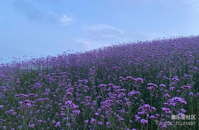 【浪漫盛夏季】美好小镇