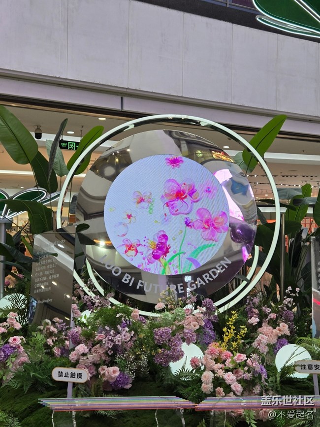 【 粽夏童趣】艺术花海