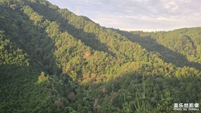 【光影里的五彩斑斓】+秀丽风景
