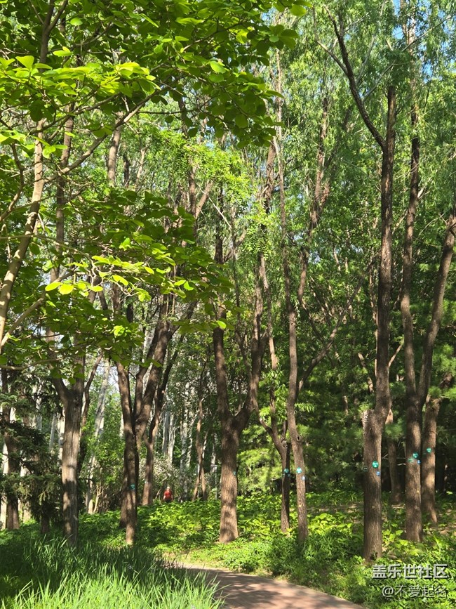 【 粽夏童趣】公园跑步