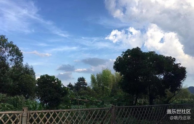 【浪漫盛夏季】午后