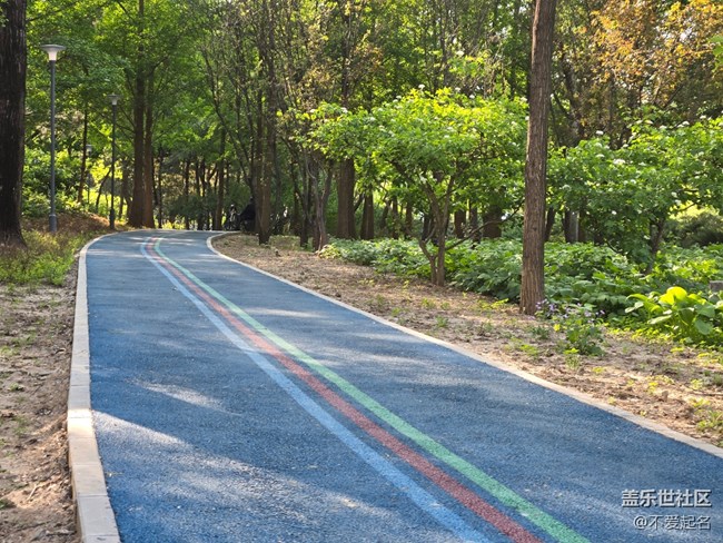 【 粽夏童趣】公园跑步