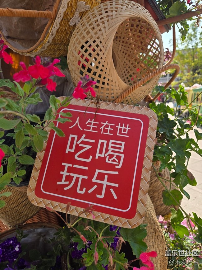 【 粽夏童趣】人生当欢