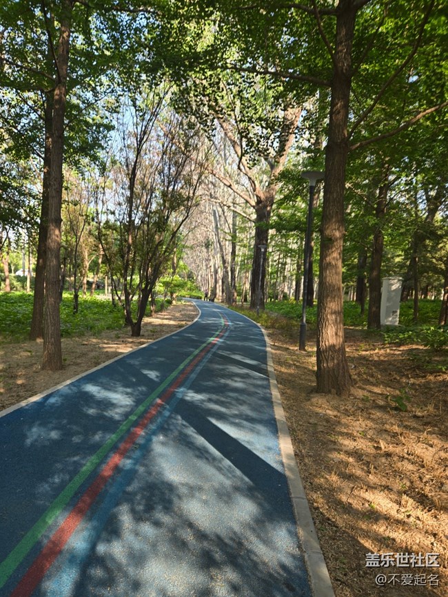 【 粽夏童趣】公园跑步