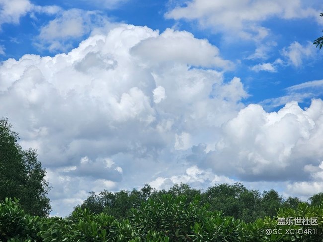 #六月江南暑未阑——夏日天空