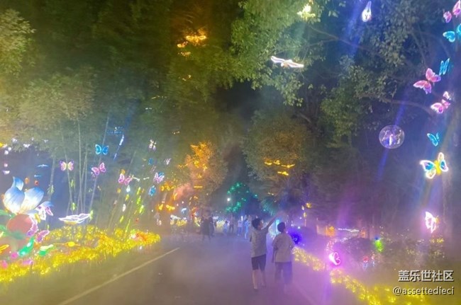 【鹏城夜景】夜晚游
