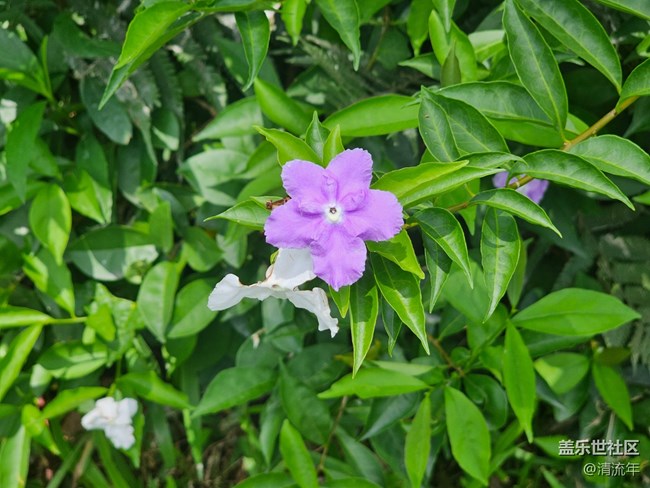 【 粽夏童趣】夏天