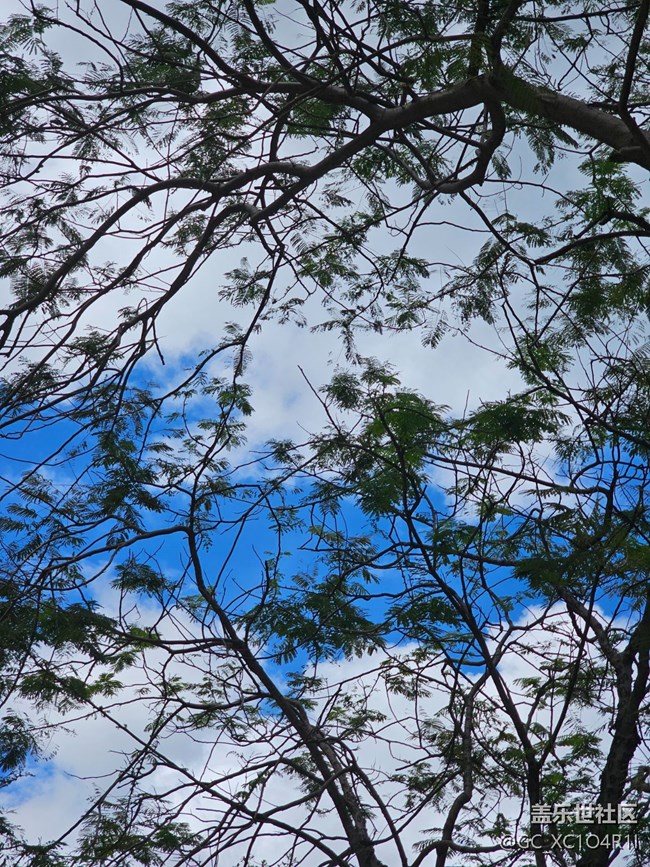 【夏日松弛感】夏日天空
