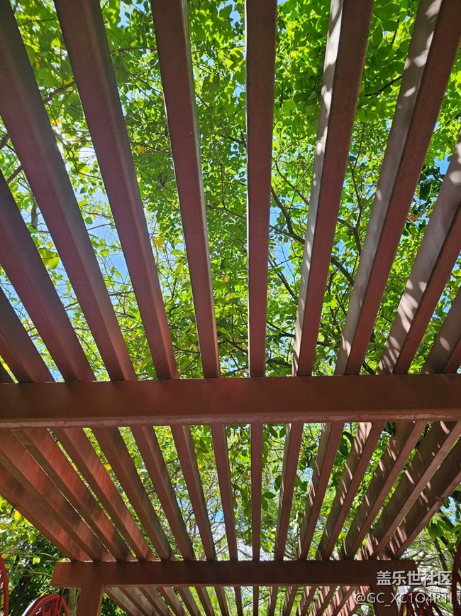 【夏日松弛感】夏日天空