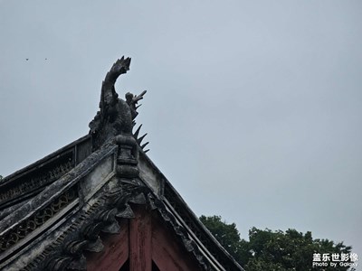 梅雨中的报国寺