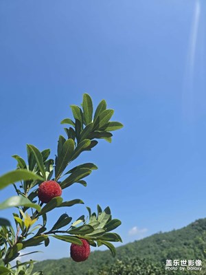 两亿像素的超级大作