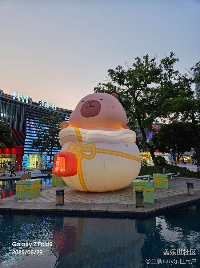【梅雨光影诗】难得晴天