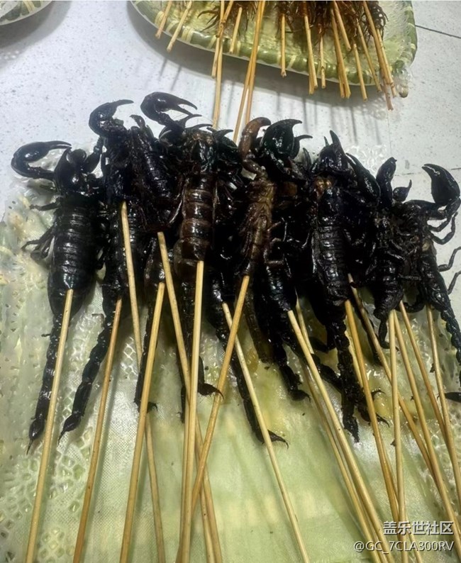 【小暑寻味】烤虫串