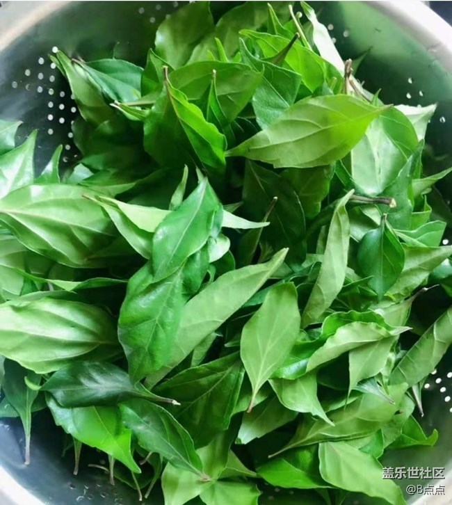 【小暑寻味】绿豆腐
