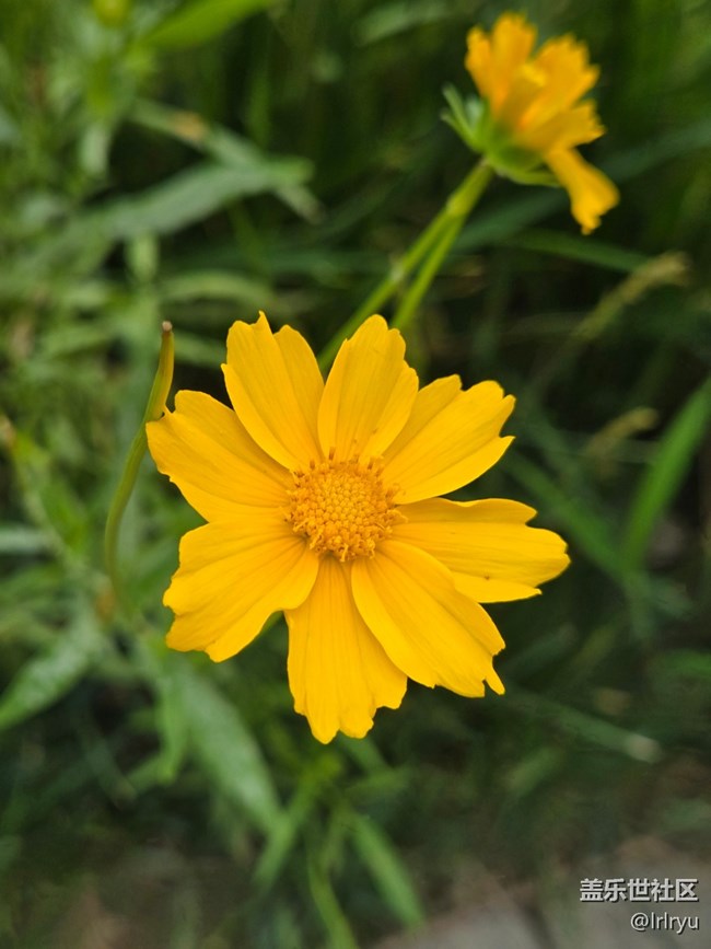 【瞬间及永恒】+定格夏日美好