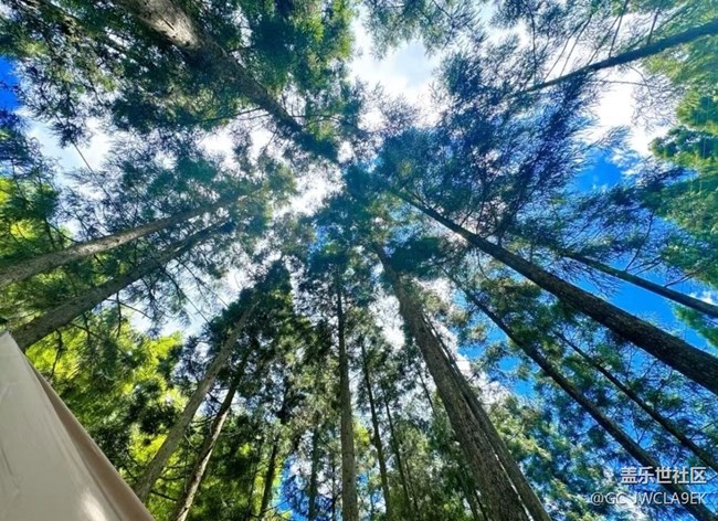 【雨过天晴】山里