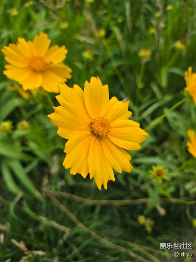 【瞬间及永恒】+定格夏日美好