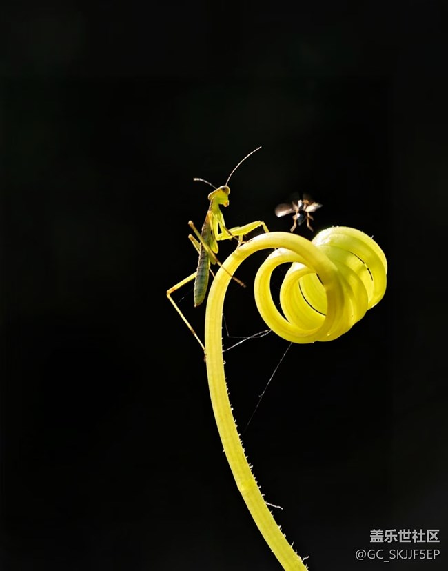 【瞬间及永恒】微观世界漫游