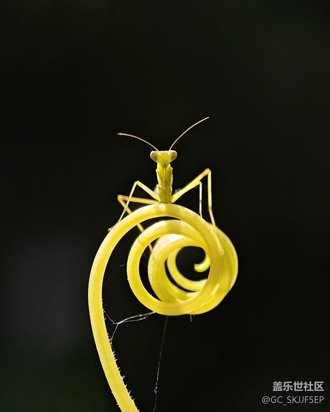 【瞬间及永恒】微观世界漫游