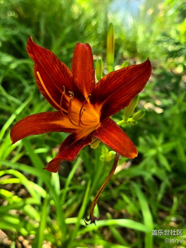【瞬间及永恒】+定格夏日美好