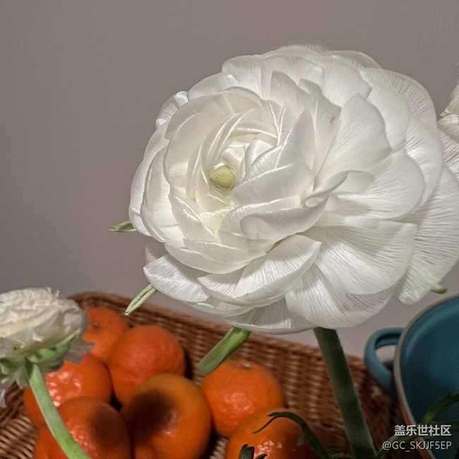 【瞬间及永恒】微观世界漫游