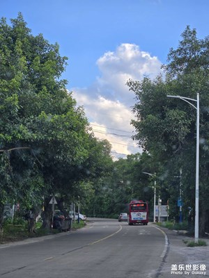 七彩夏日之一路有你