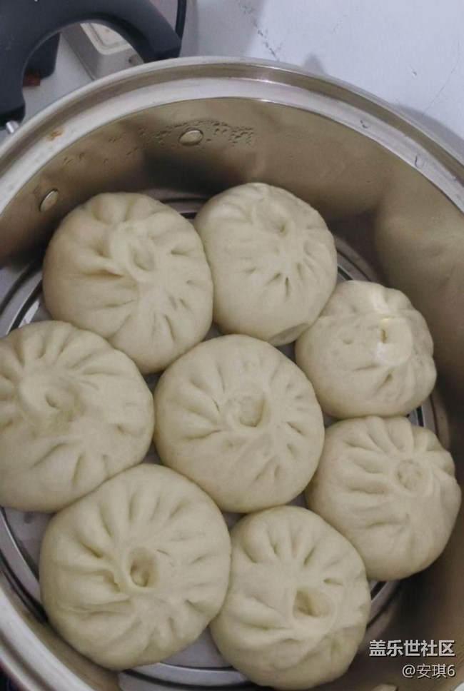 【小暑寻味】酸菜馅包子