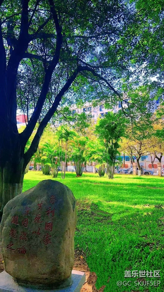 【瞬间及永恒】与自然撞个满怀