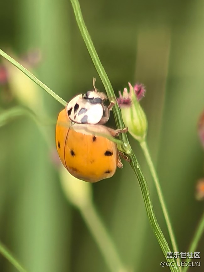 【瞬间及永恒】藏在细微里的浪漫 【瞬间及永恒】藏在细微里的浪漫