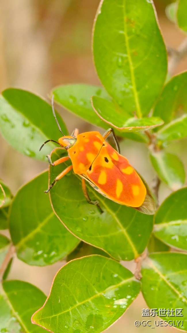 【瞬间及永恒】藏在细微里的浪漫 【瞬间及永恒】藏在细微里的浪漫