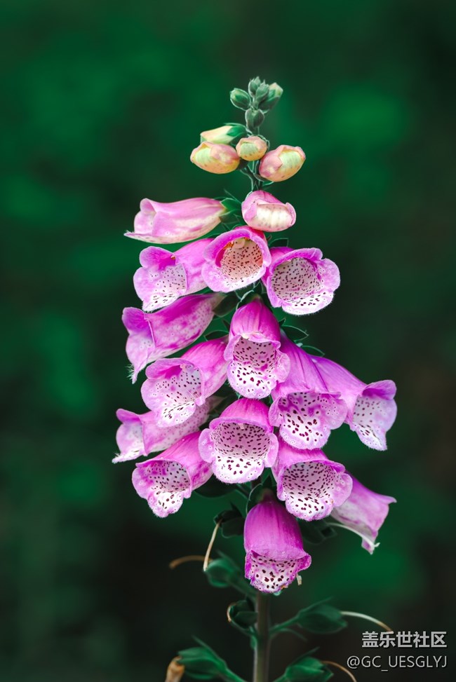 【瞬间及永恒】藏在细微里的浪漫 【瞬间及永恒】藏在细微里的浪漫