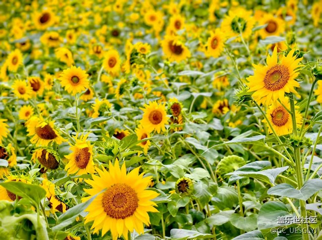 【瞬间及永恒】藏在细微里的浪漫 【瞬间及永恒】藏在细微里的浪漫