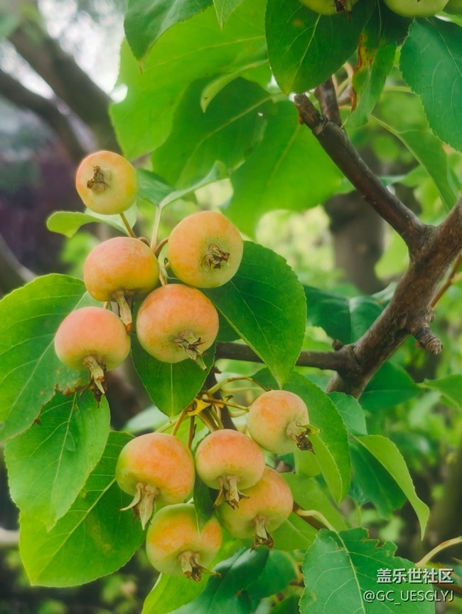 【瞬间及永恒】藏在细微里的浪漫 【瞬间及永恒】藏在细微里的浪漫