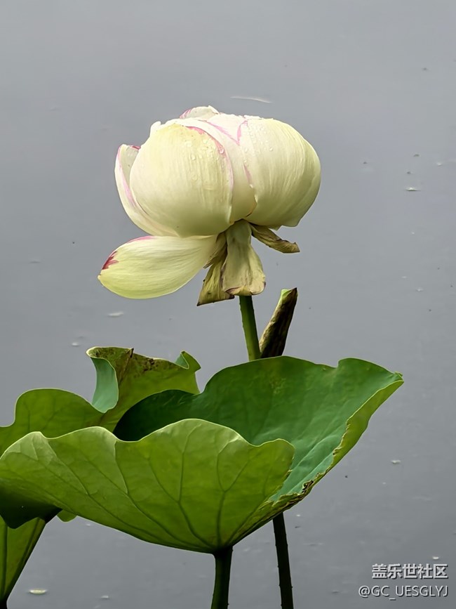 【瞬间及永恒】藏在细微里的浪漫 【瞬间及永恒】藏在细微里的浪漫