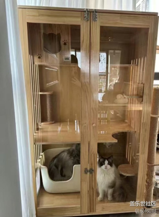 《寻找最美铲屎官视角》