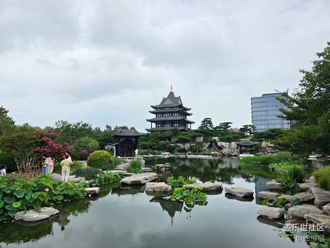 山水之间 极致轻薄——临沂星部落S25Edge品鉴会回顾