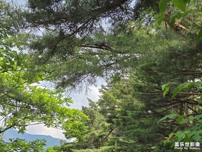 【七彩夏日】+宁静的清晨