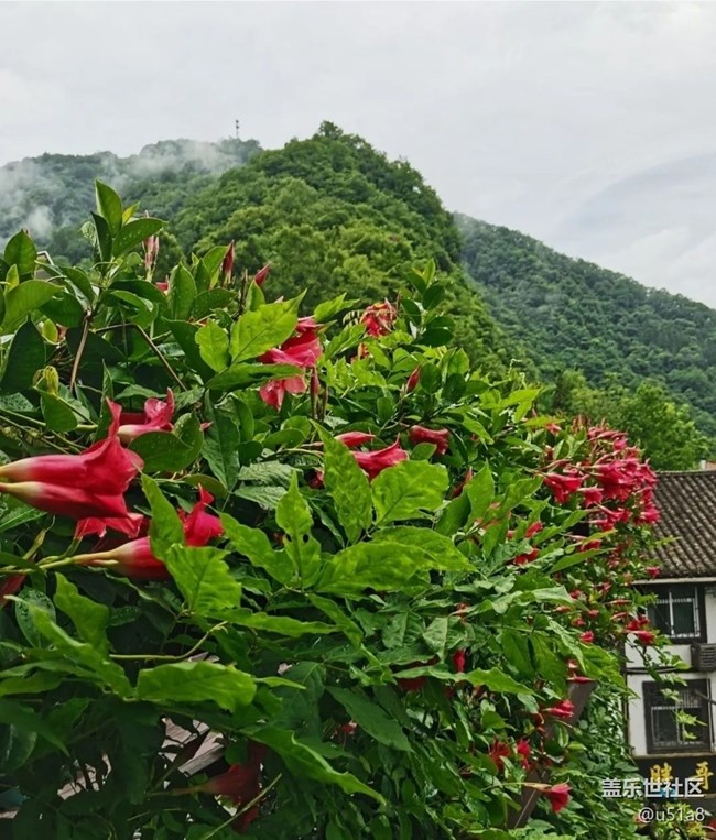 【避暑圣地】光雾山避暑
