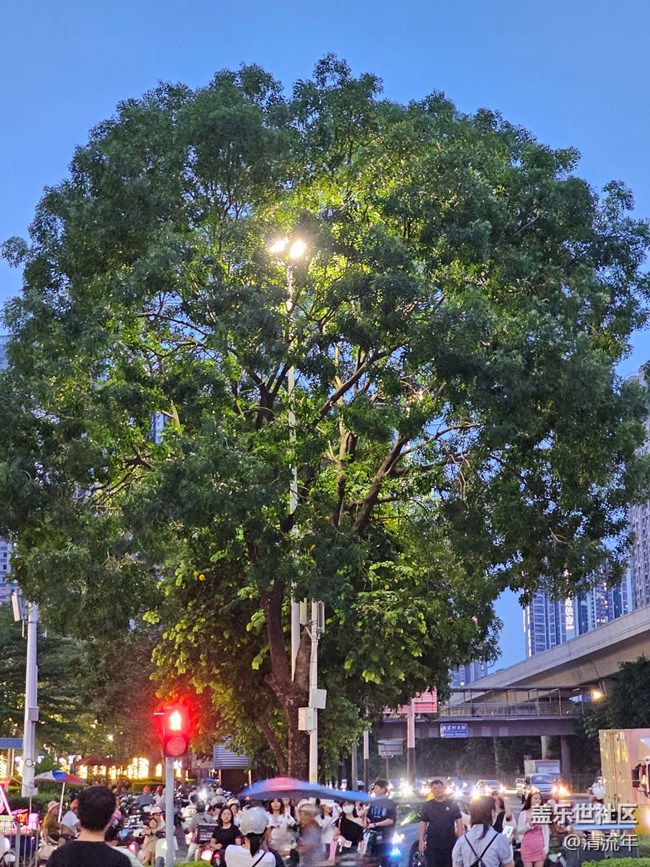 【盛京夏夜】夜晚灯火