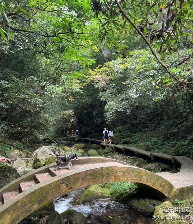 【避暑圣地】五道峡