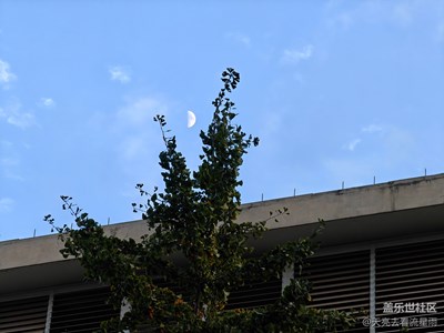 【远与近】+ 远景近景皆是景