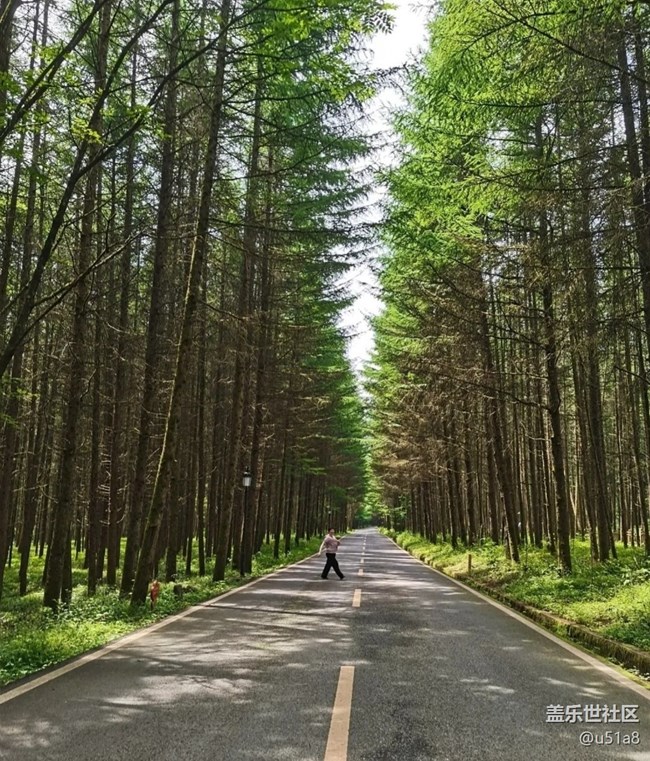 【避暑圣地】光雾山避暑