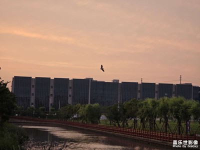 【远与近】+ 夕阳